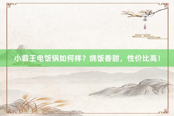 小霸王电饭锅如何样？烧饭香甜，性价比高！